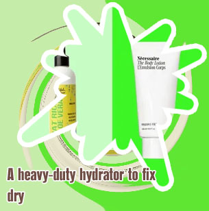 Best body lotion for dry skin